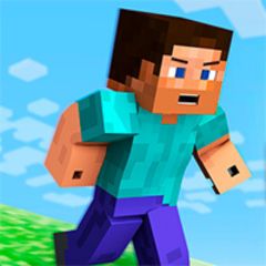 Miner Run cover